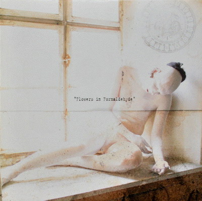 Sopor Aeternus & The Ensemble Of Shadows – Flowers In For... (2004)