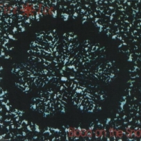 Fire + Ice - Blood On The Snow (1993)