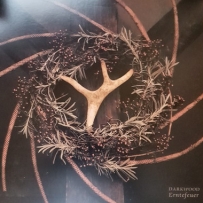 Darkwood - Erntefeuer (2017)