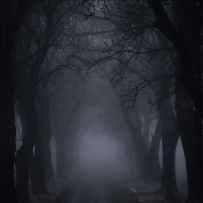 Deep inside