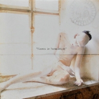 Sopor Aeternus & The Ensemble Of Shadows – Flowers In For... (2004)