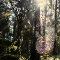 Angelic Foe - Circles And Spheres (2021)