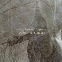 Beyond Sensory Experience - Pursuit Of Pleasure (2005)