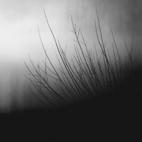 沉默有时是最好的回答