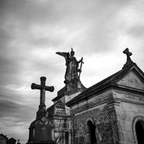 Graveyard Beauty