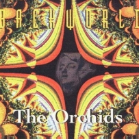 Backworld - The Orchids (2000)