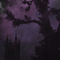 紫苑之夜