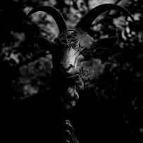 HAIL SATAN!!!