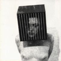 Die Form - Rose Au Cœur Violet (1994)