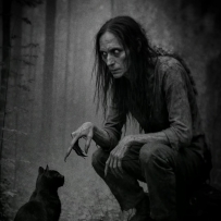 在寂静的森林里，秘密无需言语便能诉说。