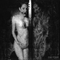 Die Form - Rain Of Blood (1999)