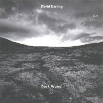 David Darling - Dark Wood (1995)