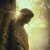 宾夕法尼亚州匹兹堡的家乡墓地