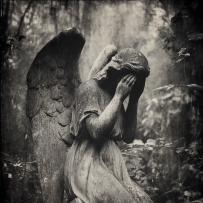 致我堕落的天使