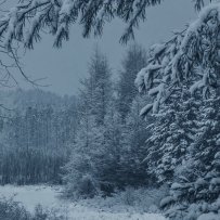 我们的世界冰封了